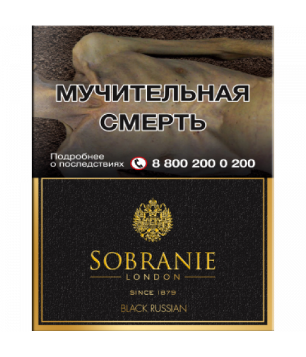 SOBRANIE BLACK RUSSIAN - CIGARETTES